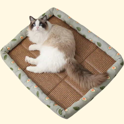 FRESHMAT — Tapis rafraîchissant en rotin pour animaux de compagnie