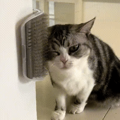 Wall-mounted cat massage corner
